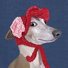 Greyhound with Red Woolly Hat