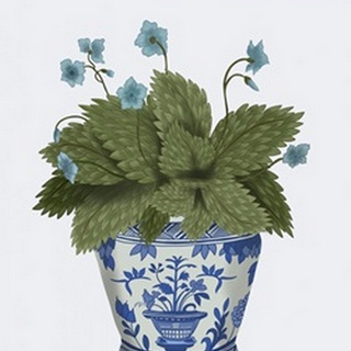 Planter with Blue Flower Plant