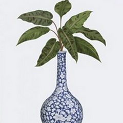 Bud Vase and Plant