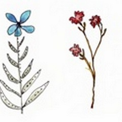 Botanical Vibes II