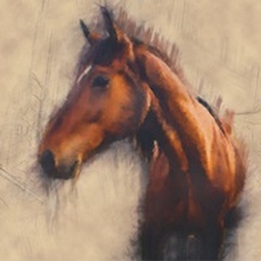 Blended Horse III