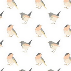 Songbird Collection I