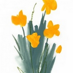 Daffodil Bunch II