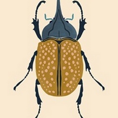 Beetle Bug II