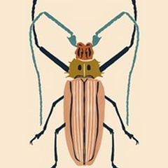 Beetle Bug IV
