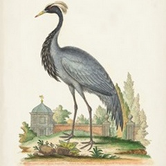 Antique Heron & Cranes II