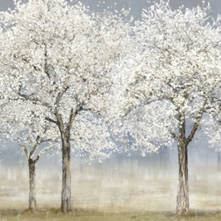 Blossom Trees II
