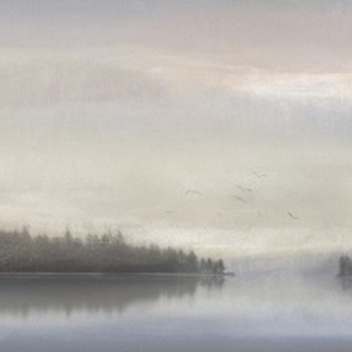 Fog Lake IV