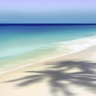 Beach and Palm
