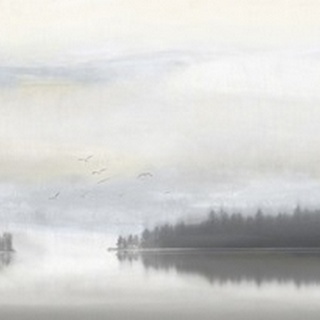 Fog Lake II
