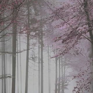 Tree Path Pink Grey 2