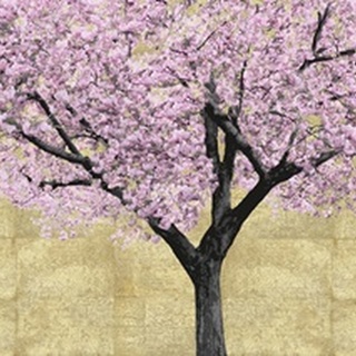 Cherry Blossoms Tree Blush Gold