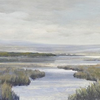Marsh Land I