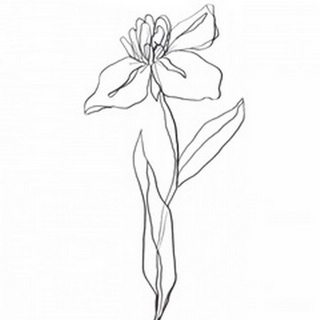 Simple Daffodil II