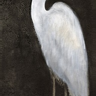 White Heron Portrait II