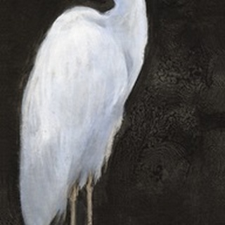 White Heron Portrait I