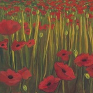 Red Poppies in Field I