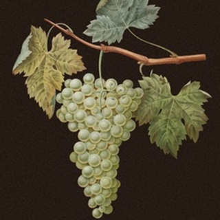 Brookshaw White Grapes