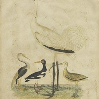 Embellished Crane and Heron