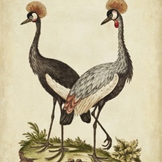 Antique Bird Menagerie VII