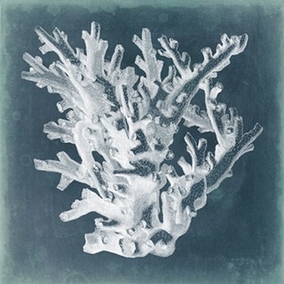 Azure Coral I