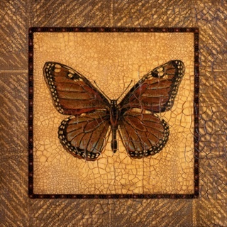 Crackled Butterfly - Monarch