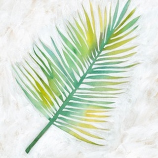 Ocean Side Palms IV