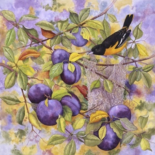 Oriole and Plums