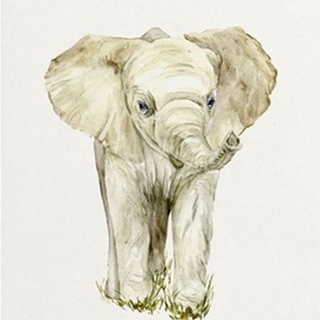 Baby Elephant II