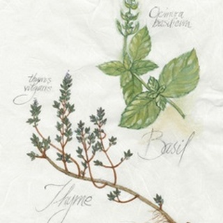 Basil and Thyme