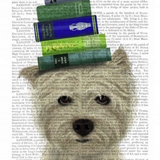 Westie and Books