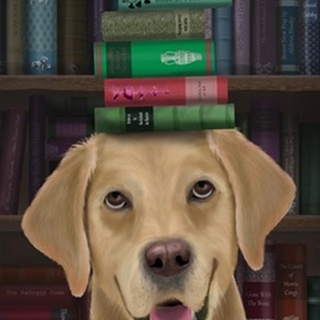 Yellow Labrador and Books