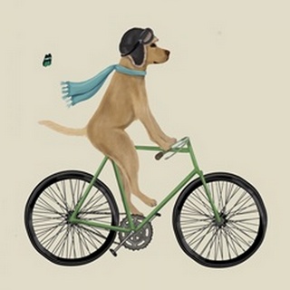 Yellow Labrador in Flying Helmet on Bicycle