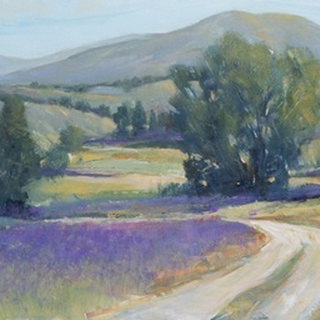 Lavender Meadow I
