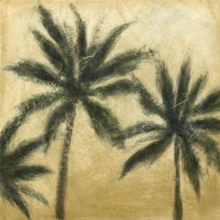Miami Palms II