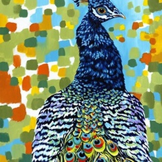 Plumed Peacock II