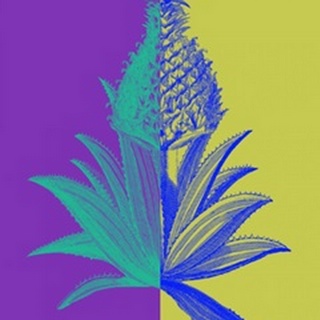 Pineapple Mix II