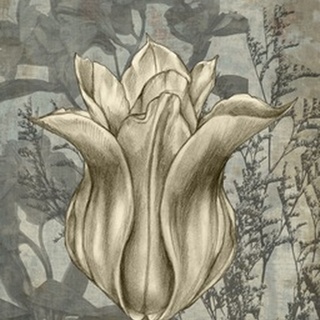Tulip and Wildflowers III