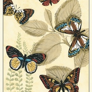 Graphic Butterflies in Nature I