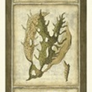 Exotic Seaweed Panel I