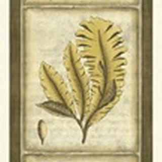 Exotic Seaweed Panel II