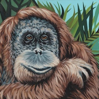 Jungle Monkey I