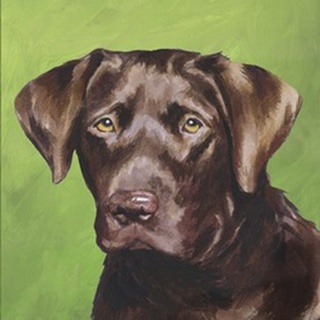 Dog Portrait-Chocolate