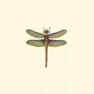 Miniature Dragonfly IV
