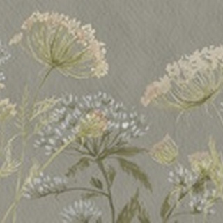 Lacy Wildflowers Collection D
