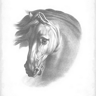 Equestrian Blueprint I