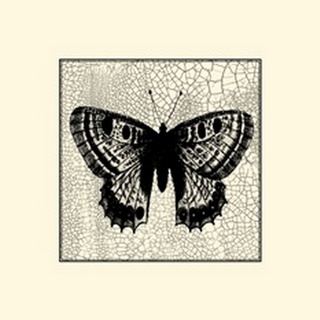Classical Butterfly II
