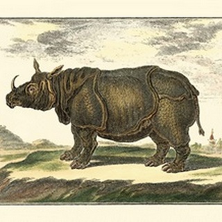 Diderot Rhino