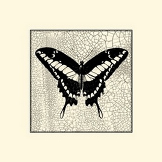 Classical Butterfly IV