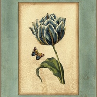 Crackled Spa Blue Tulip IV (HL)